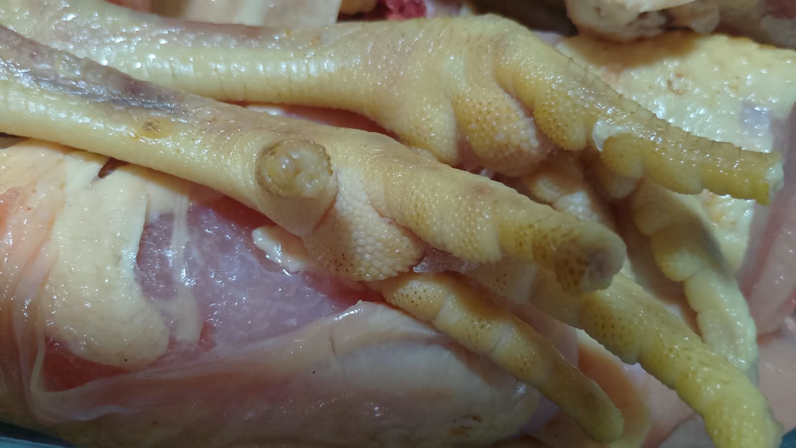 Pele amarela de frango caipira